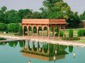 Shalimar Louisville